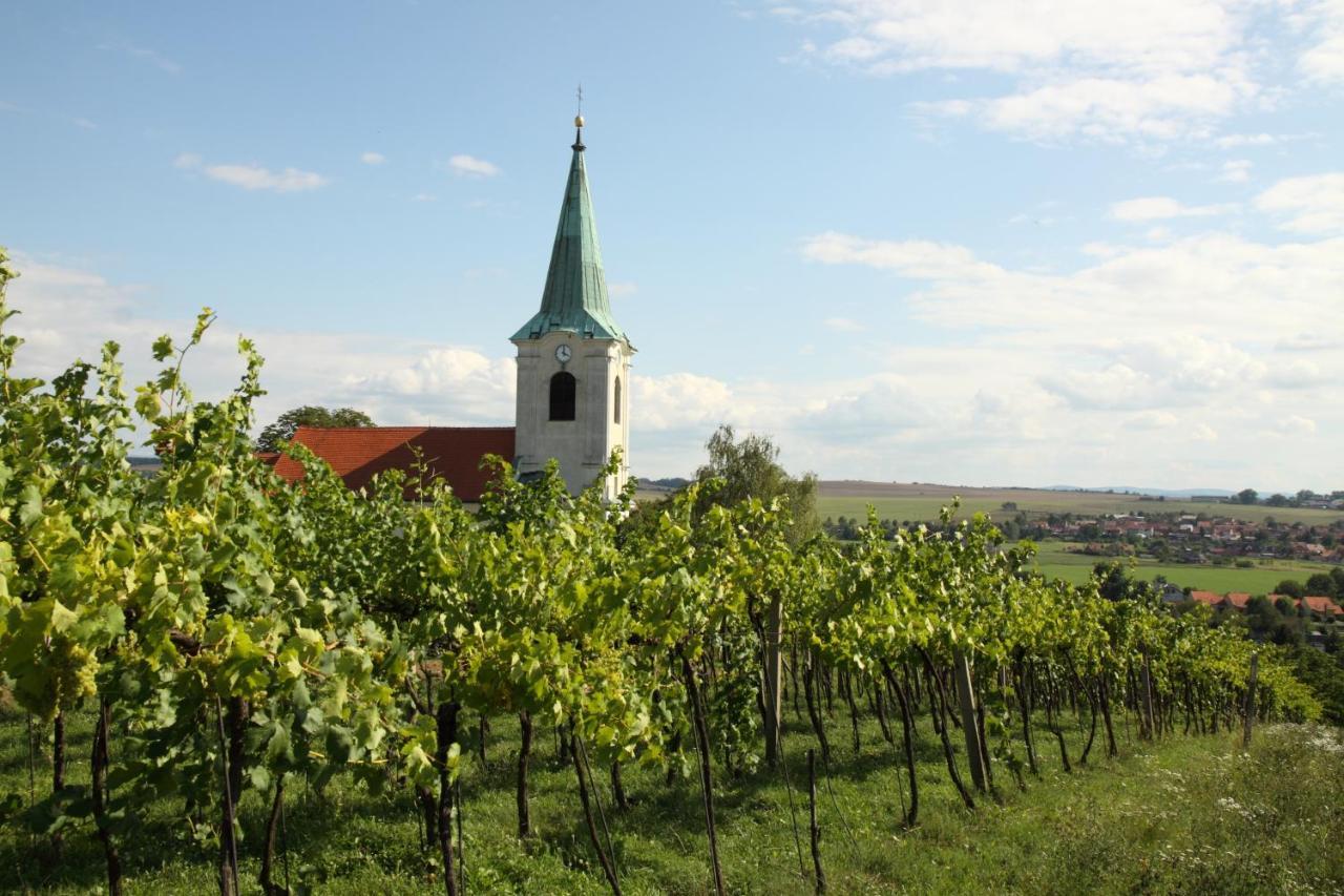 Ubytovani Ve Vinarstvi Medek | Medek House & Winery Uherské Hradiště Buitenkant foto