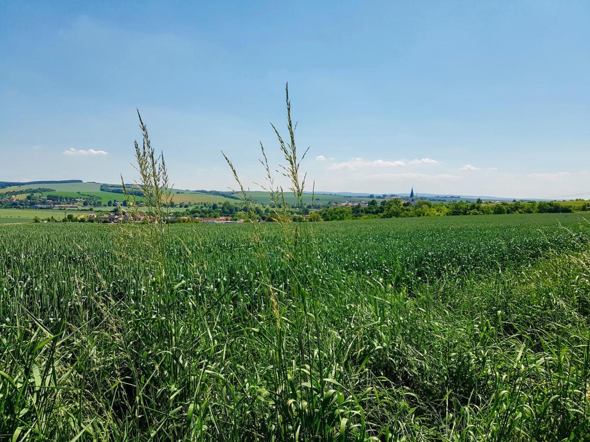 Ubytovani Ve Vinarstvi Medek | Medek House & Winery Uherské Hradiště Buitenkant foto