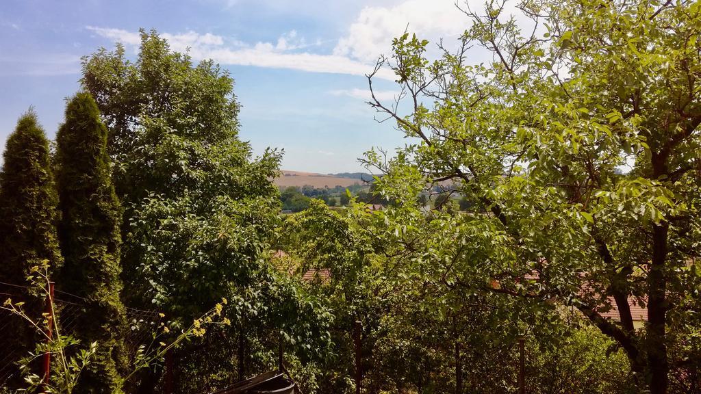 Ubytovani Ve Vinarstvi Medek | Medek House & Winery Uherské Hradiště Buitenkant foto