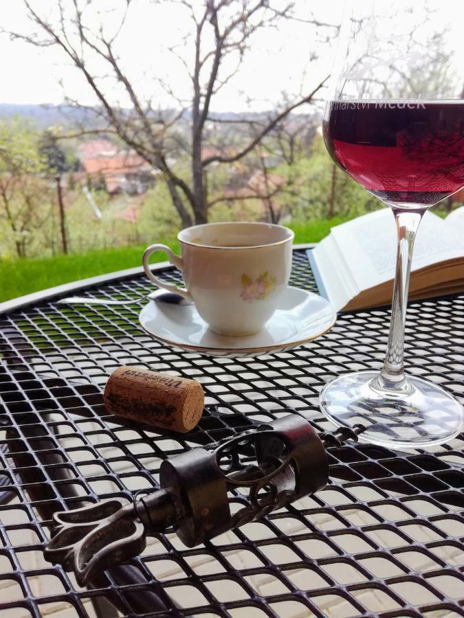 Ubytovani Ve Vinarstvi Medek | Medek House & Winery Uherské Hradiště Buitenkant foto